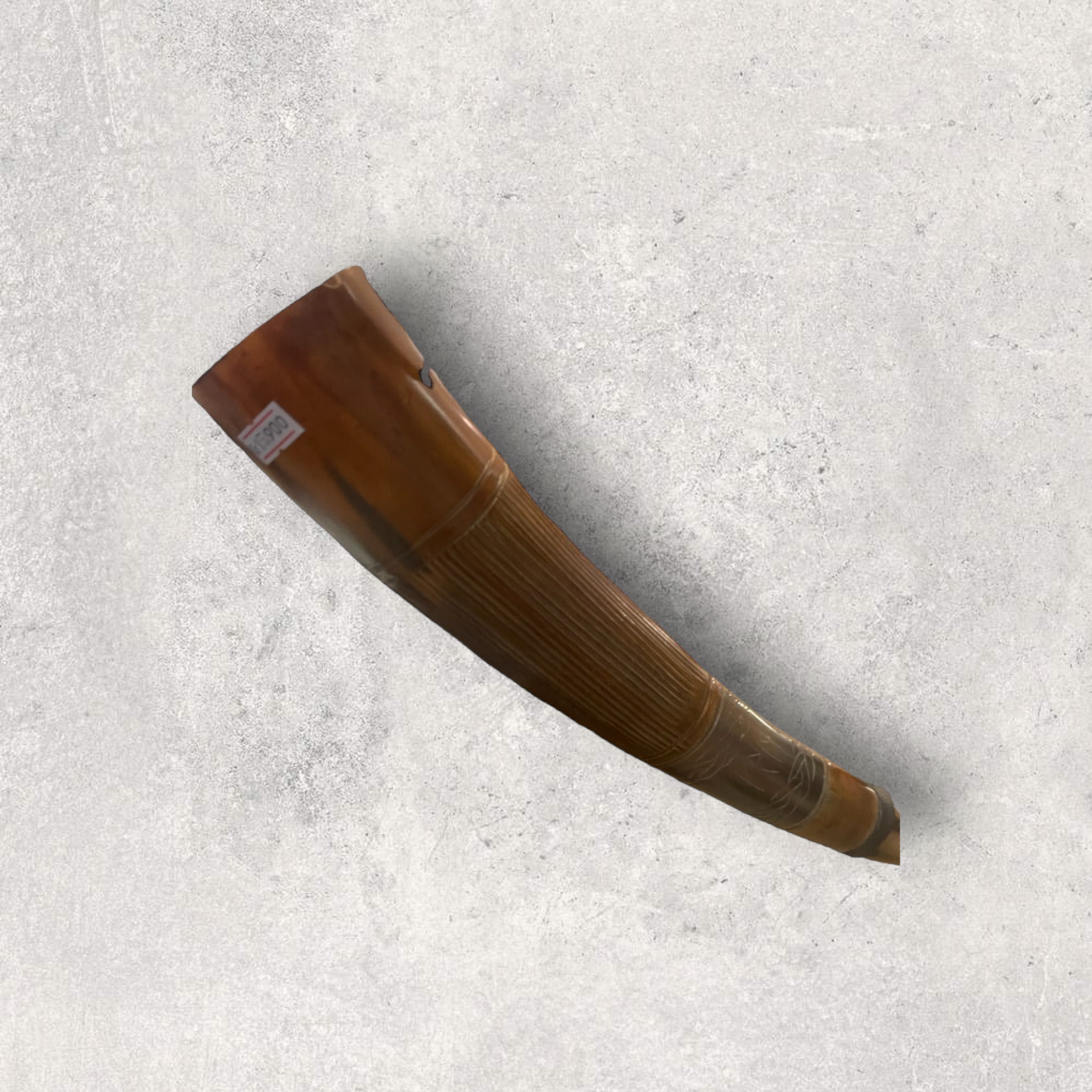 Brown horn Brown horn